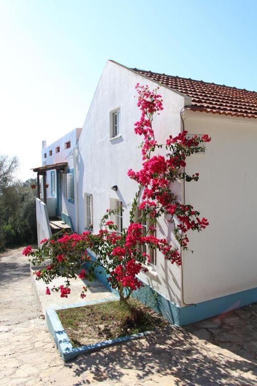 Villa Casa Do Avo Teixeira Sesimbra Exterior foto